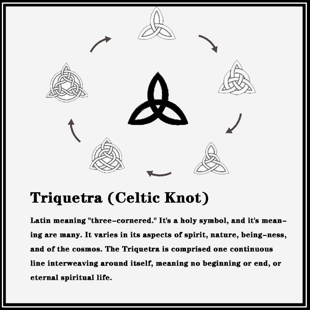 Dragon Head Celtic Knot Viking Ring in Stainless Steel