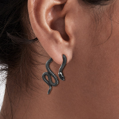 Coiled Snake Earrings in Stainless Steel