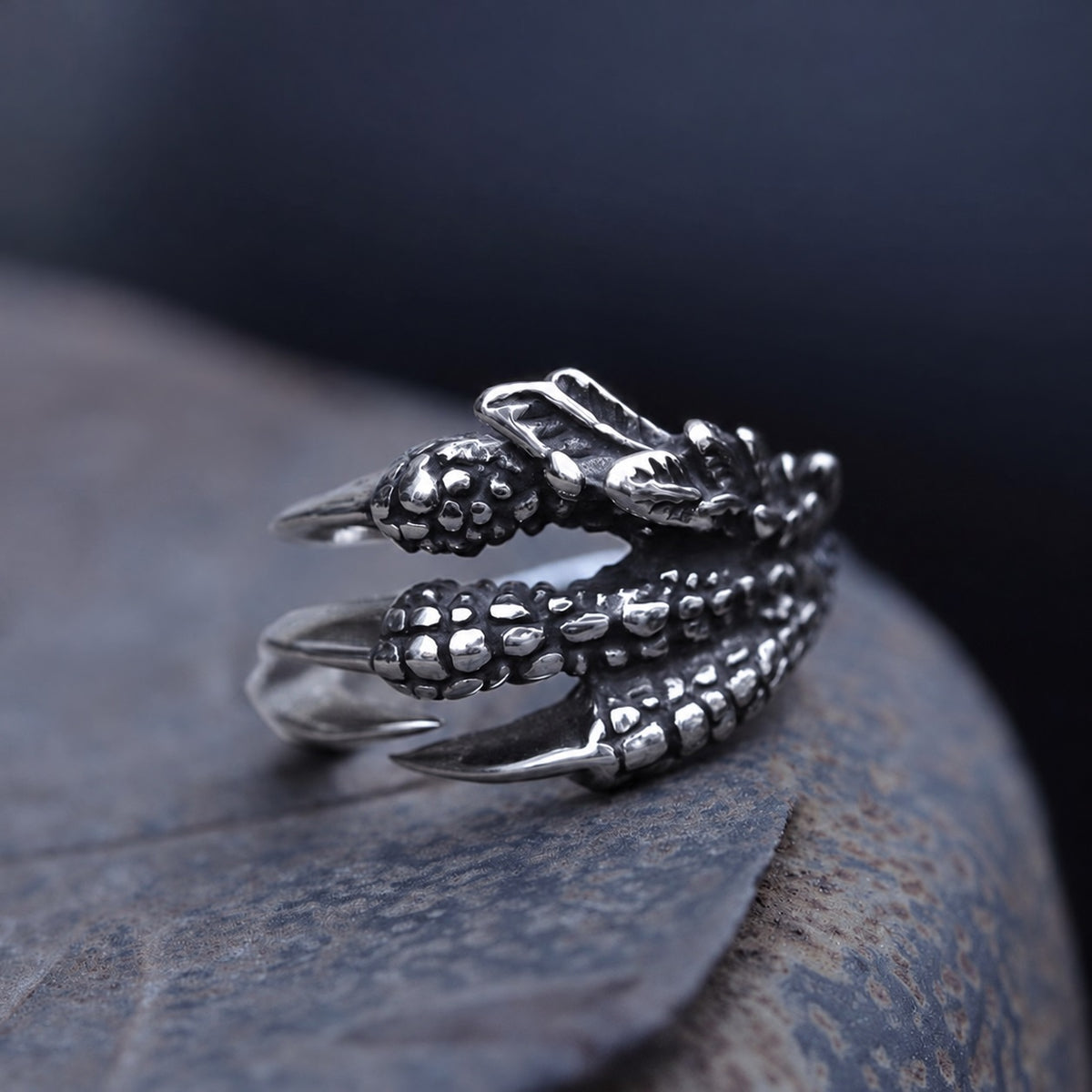 Dragon Claw Ring in Stainless Steel