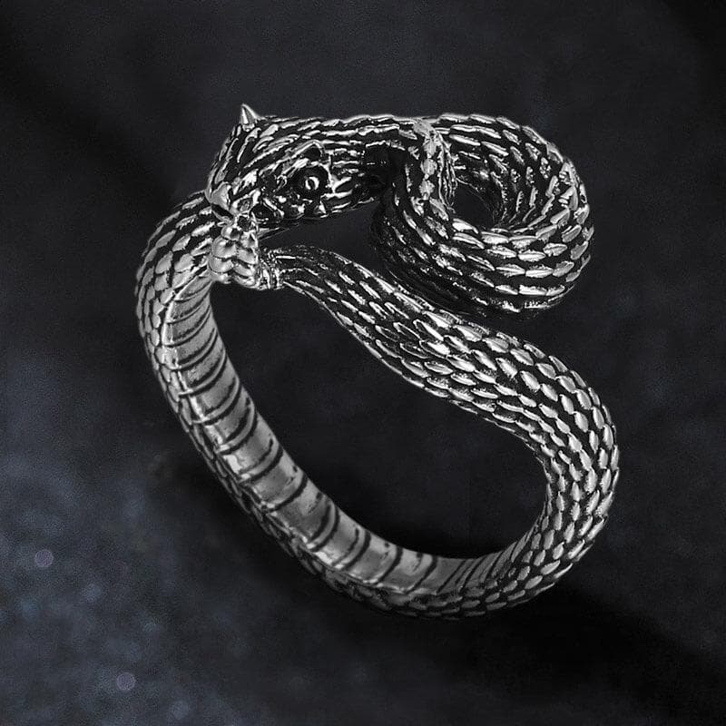 Entwined Snake Ring in Stainless Steel