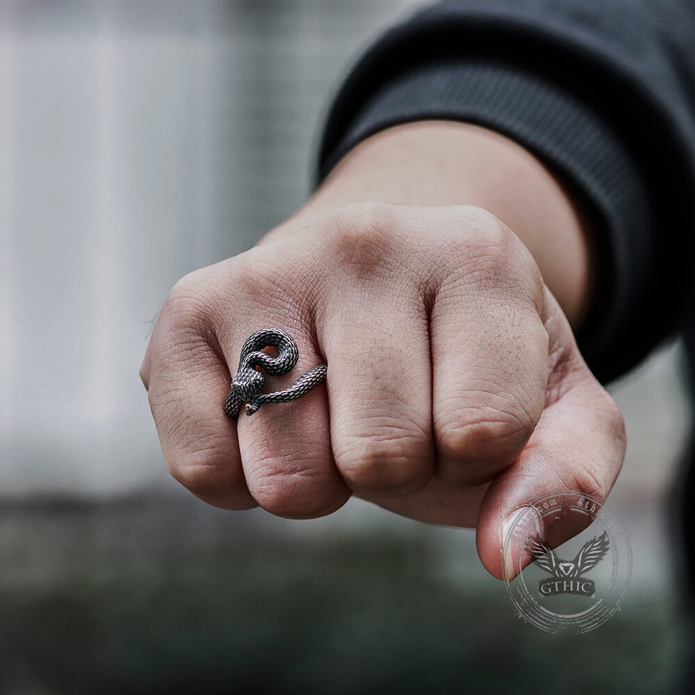 Entwined Snake Ring in Stainless Steel