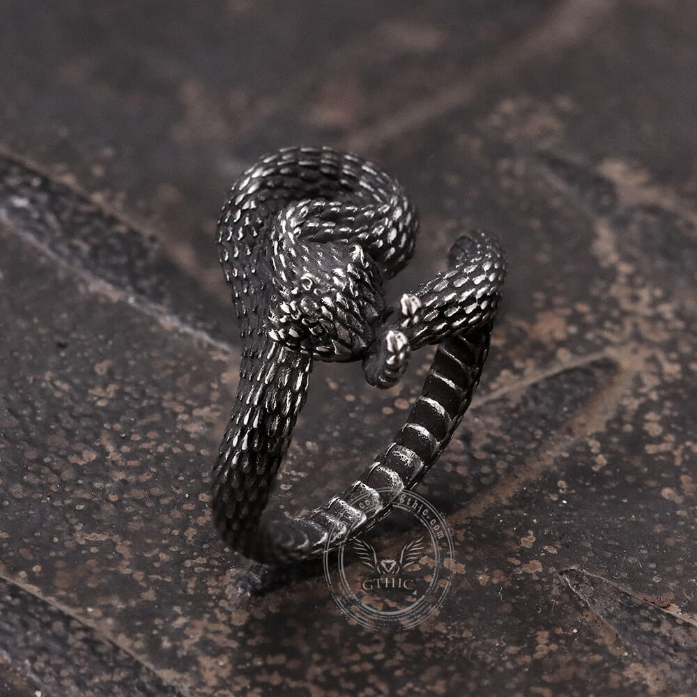 Entwined Snake Ring in Stainless Steel
