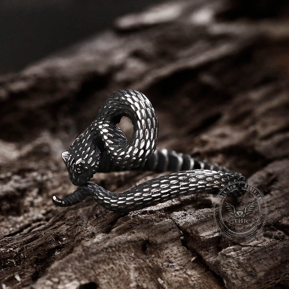 Entwined Snake Ring in Stainless Steel