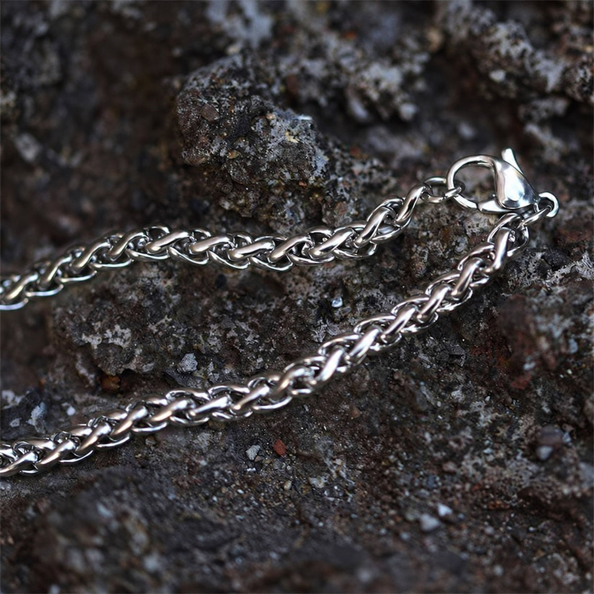 Bear Claw Amulet Viking Necklace in Stainless Steel
