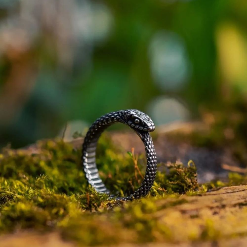 Ouroboros Snake Ring in Stainless Steel
