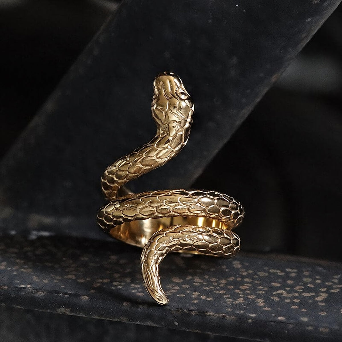 Retro Punk Winding Snake Cobra Ring in Stainless Steel
