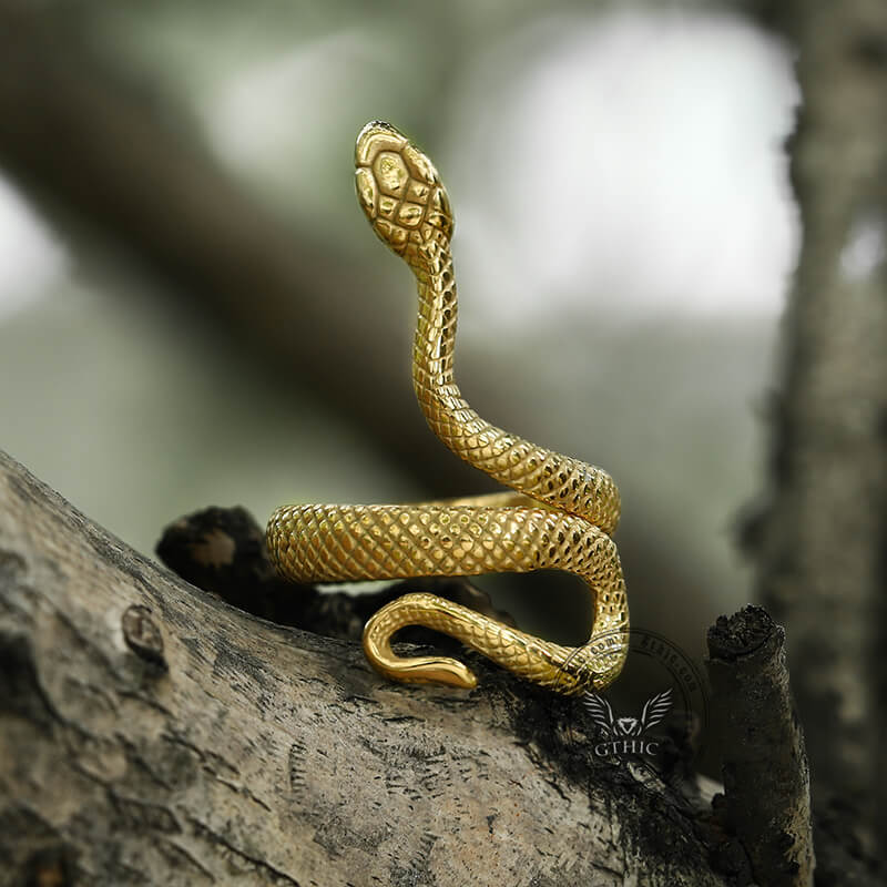 Vintage Snake Ring in Stainless Steel